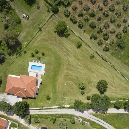 Attractive In With Swimming Pool *